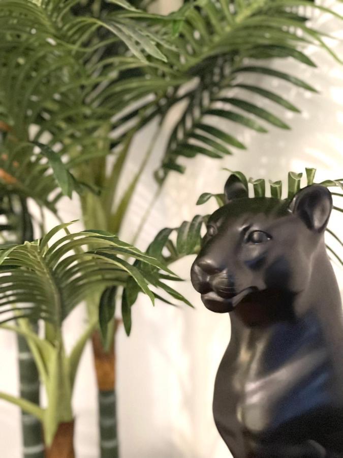 Le Troglo'gîte, 500m à Pied Du Zoo De Beauval * Seigy