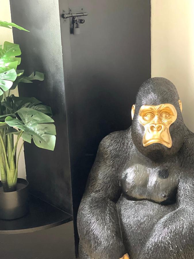 Le Troglo'gîte, 500m à Pied Du Zoo De Beauval * Seigy